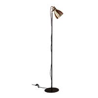 Contemporary Decoration Brushed Iron Floor Lamp for Living Room M30042