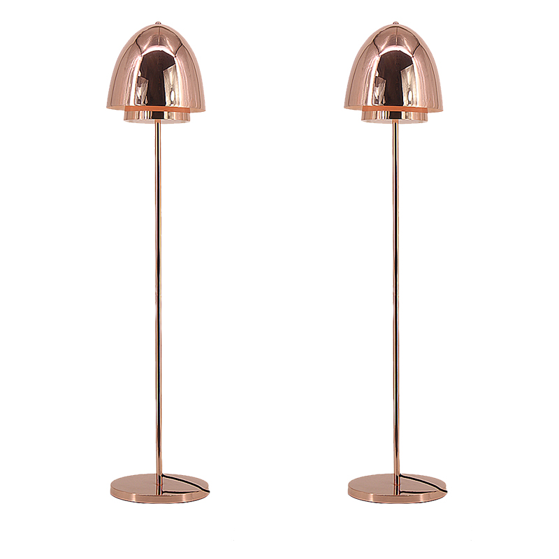 Modern Design Electroplating Rose Gold Egg-Shaped Lampshade Floor Lamp  M30615