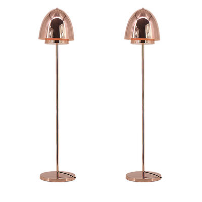 Modern Design Electroplating Rose Gold Egg-Shaped Lampshade Floor Lamp  M30615